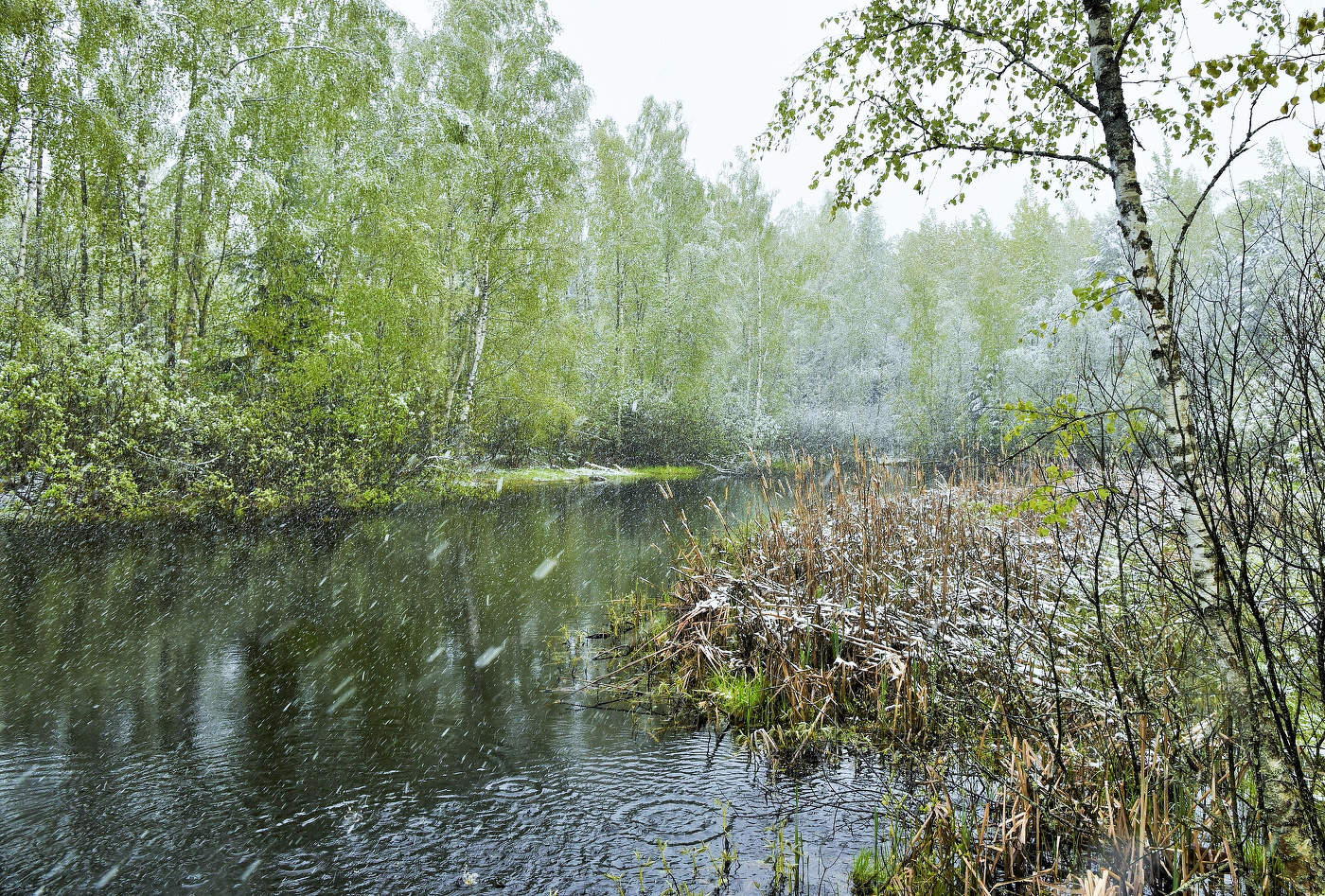 Не ласковый май ...