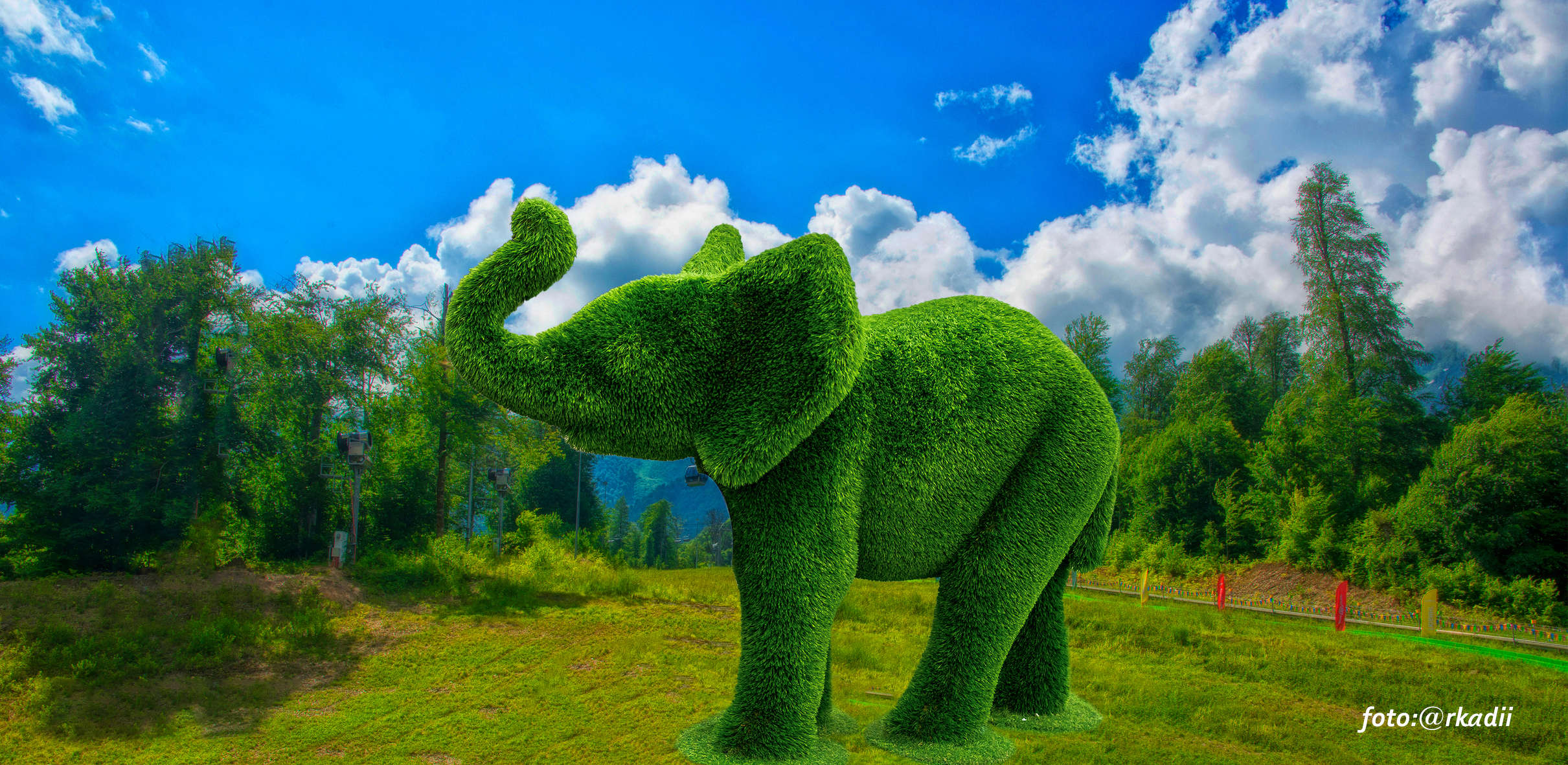 Ход слоном...