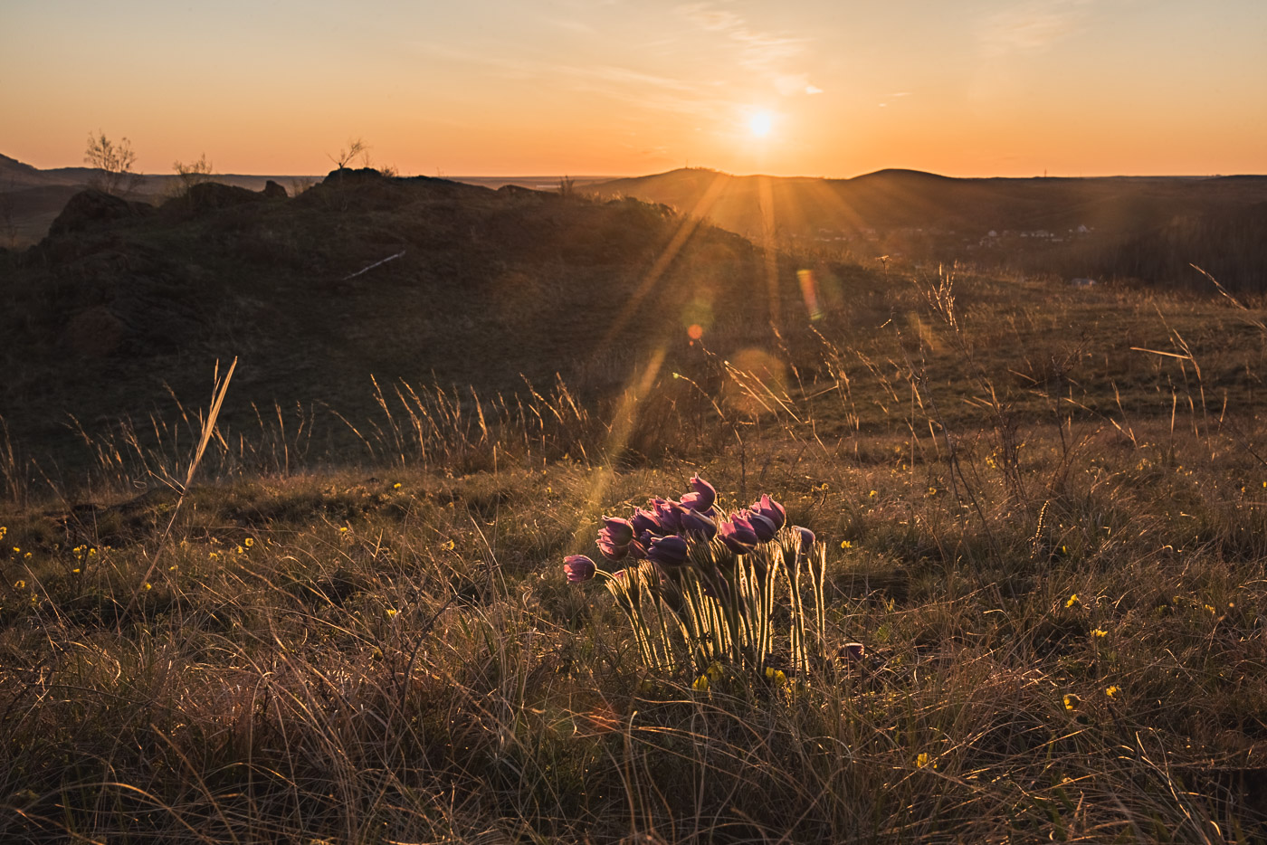 Апрельский вечер