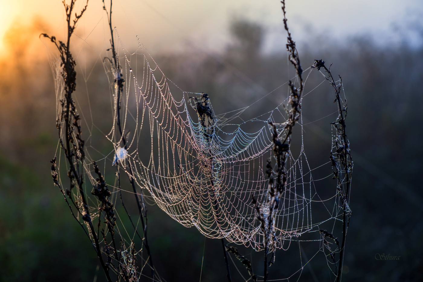 Конец июля.