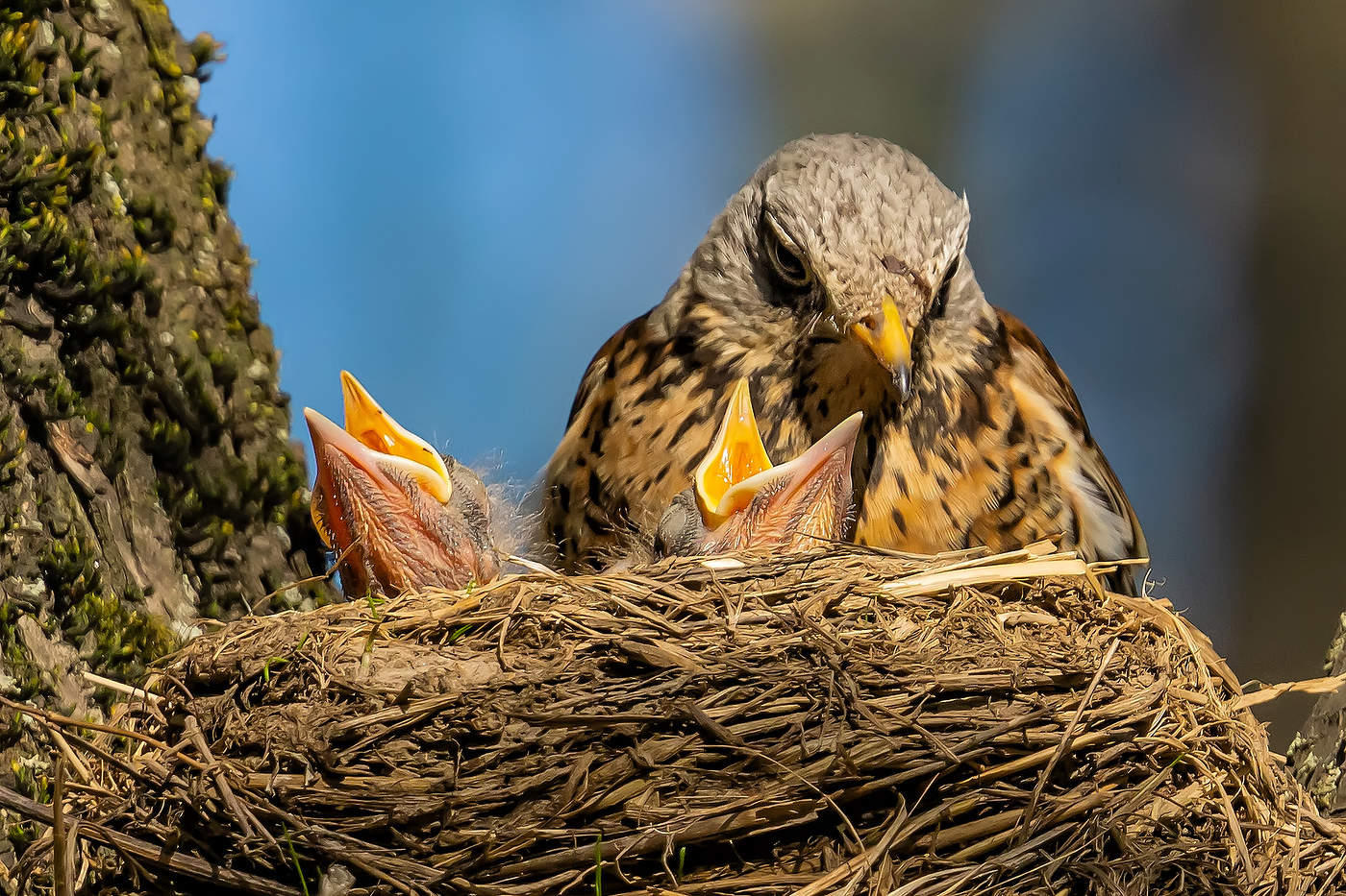 Голодная молодежь