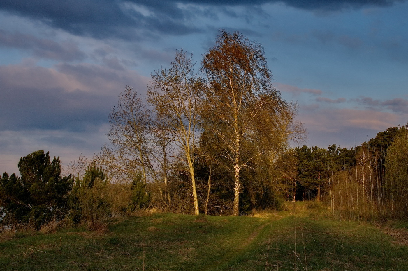 Майский вечер.