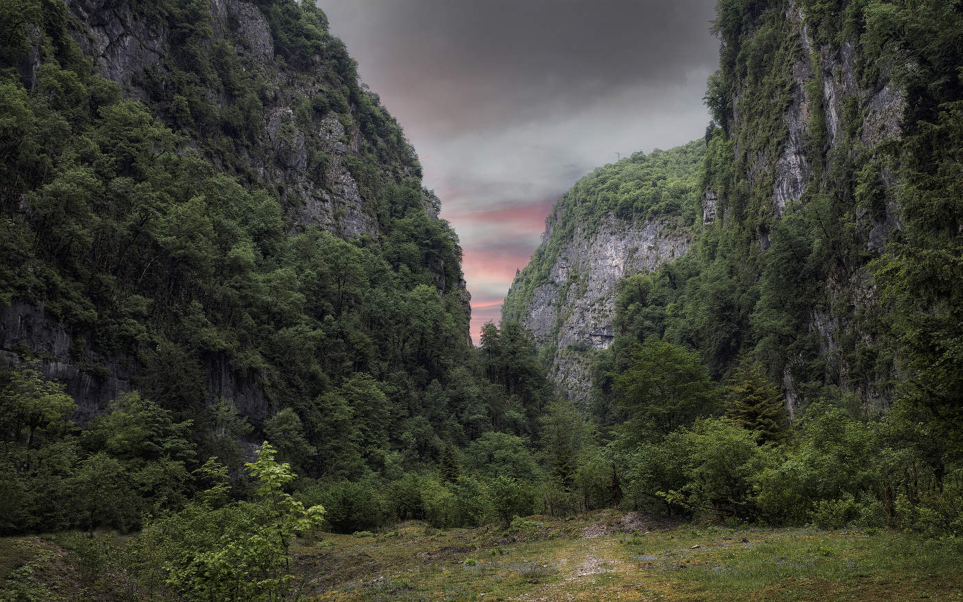 Реликтовый лес