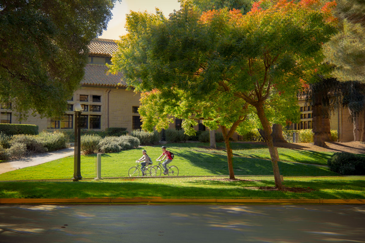 Майский денёк