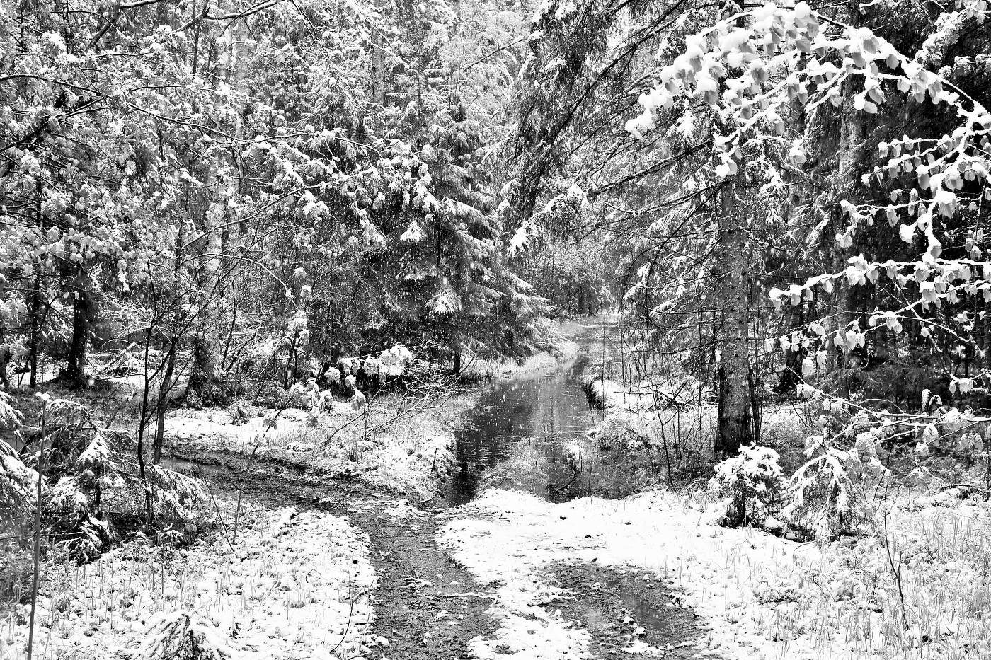 Снежный май ...