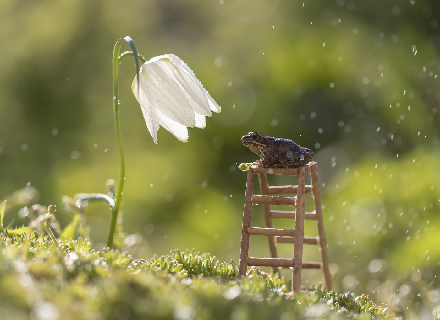 Просто дождь пошел...