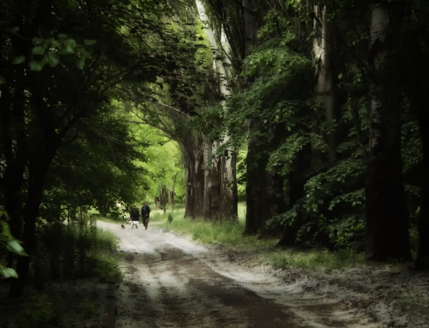 Дневной дозор