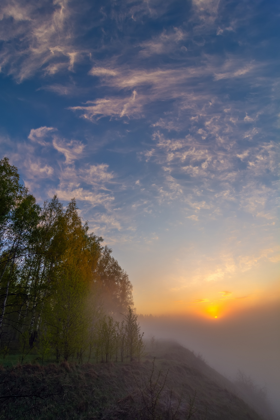 пробивается