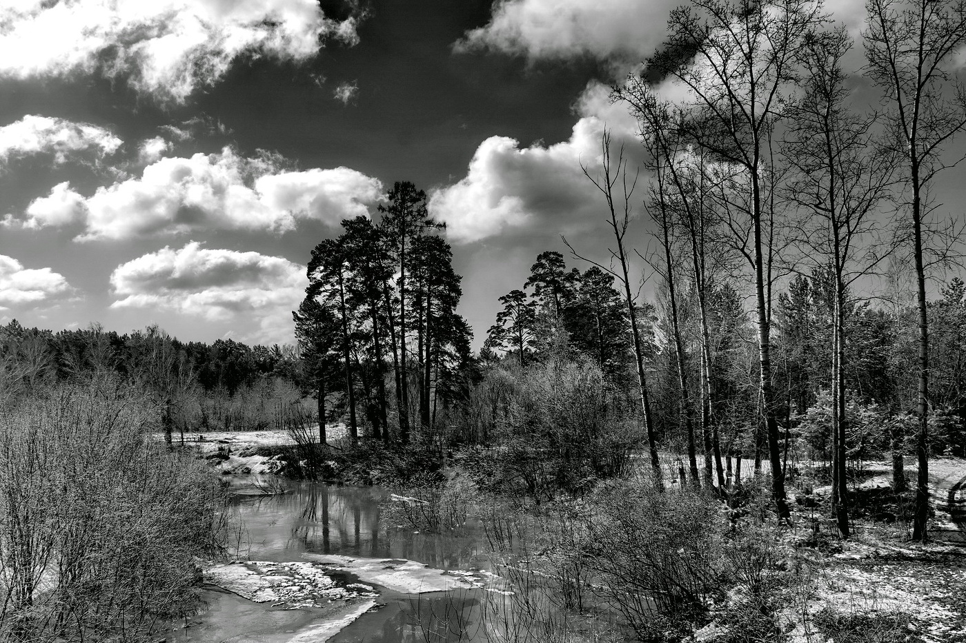 *Весенним днём.**