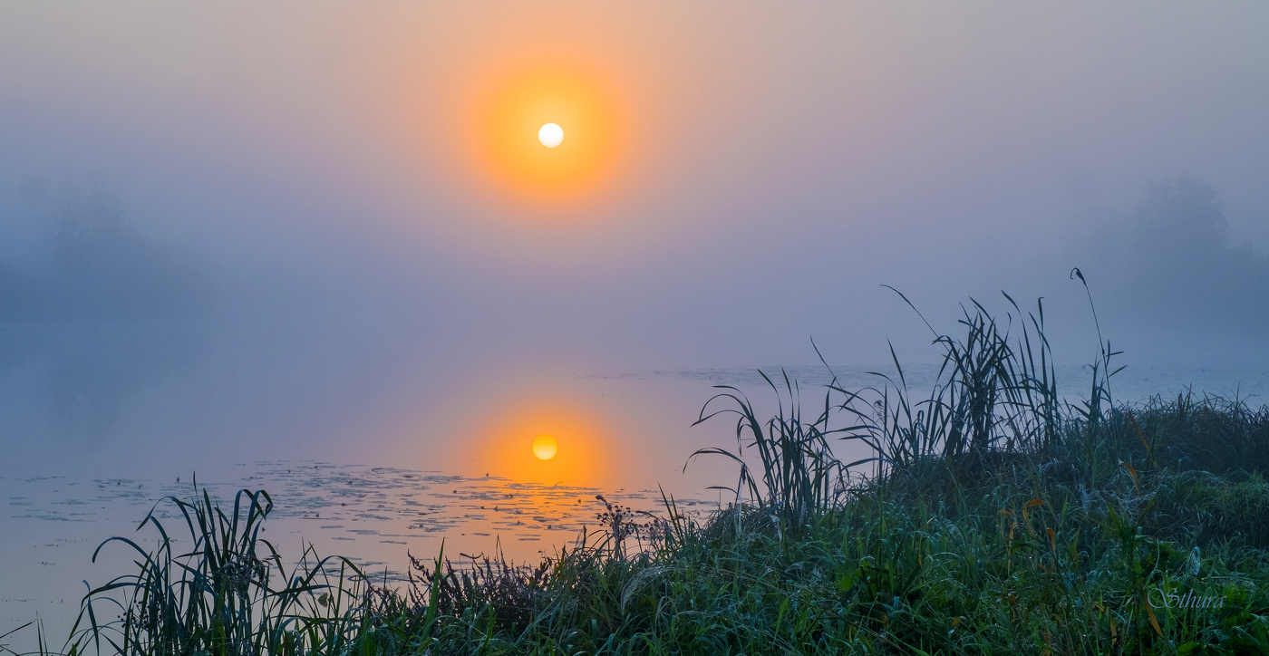 Доброе утро.