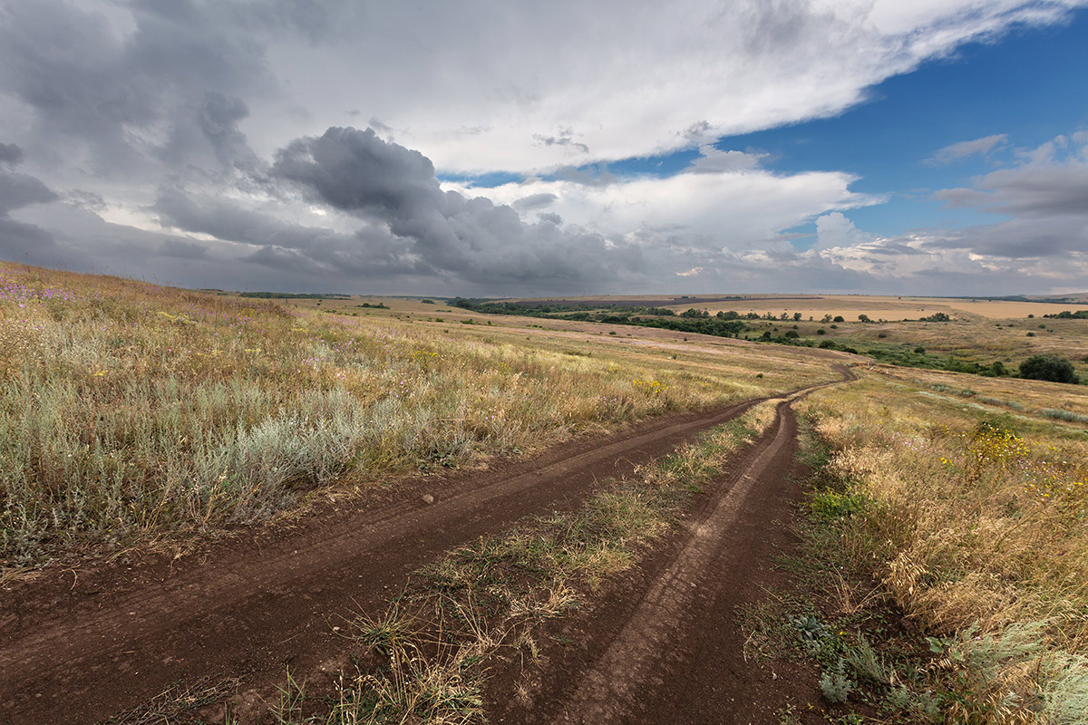 Выгорела степь