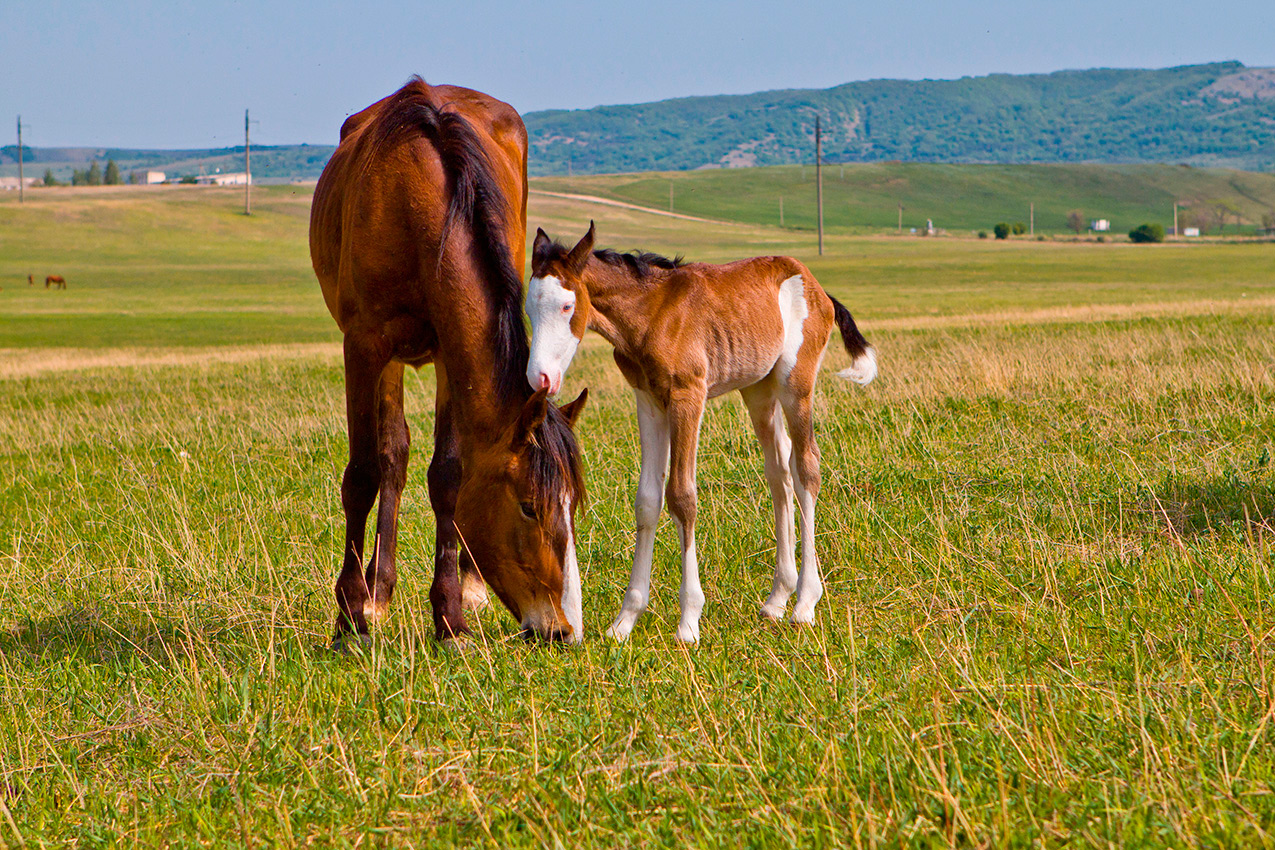 Мама с малышом