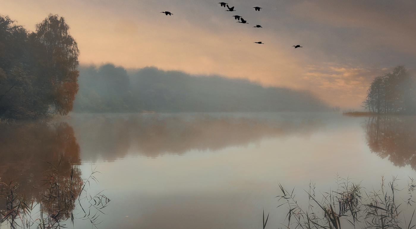 Птиц улетающих крики.