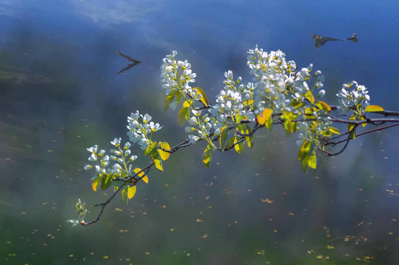 "Весенняя осень"