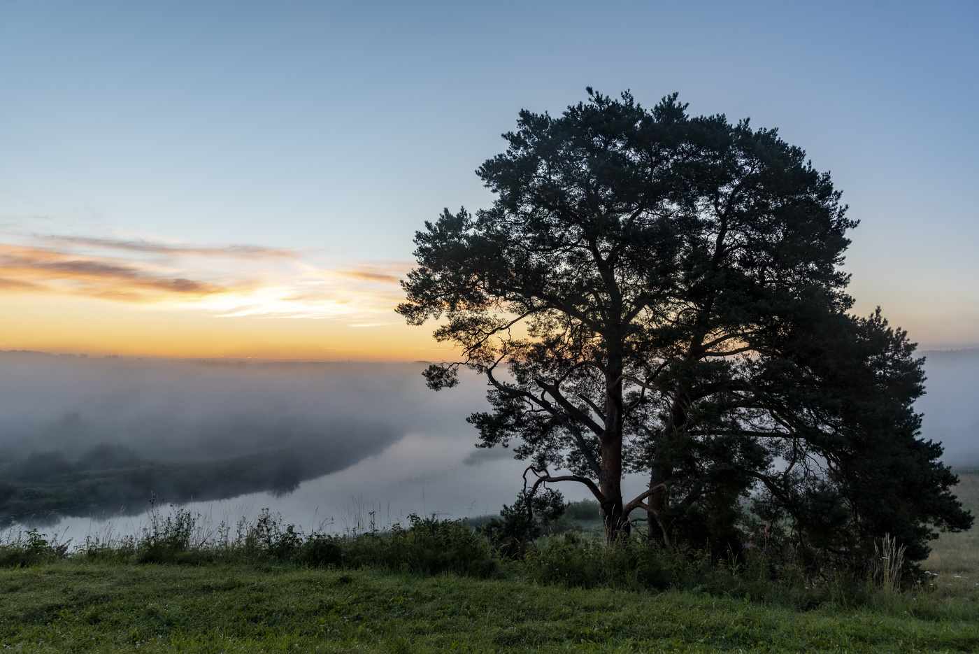 Нежное утро