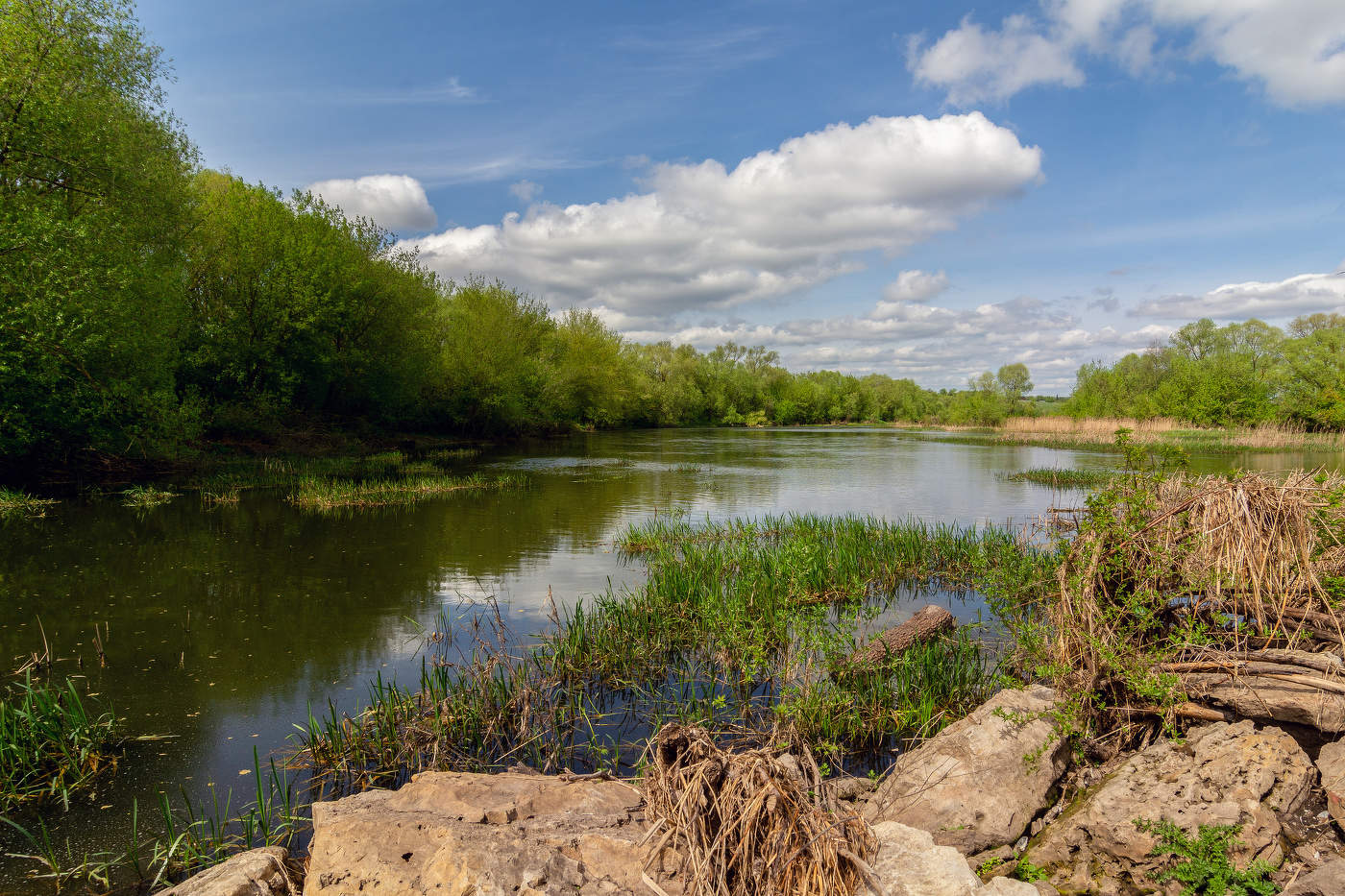 тихая заводь