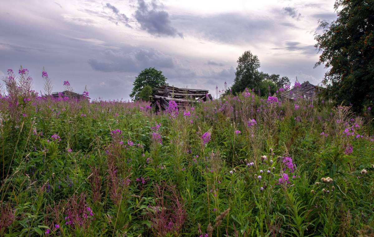 Зарастает...