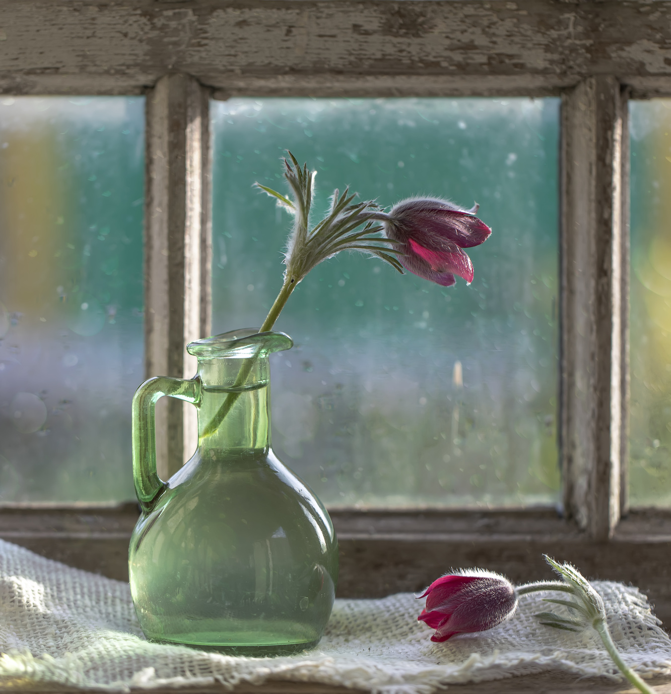 Сон-трава...