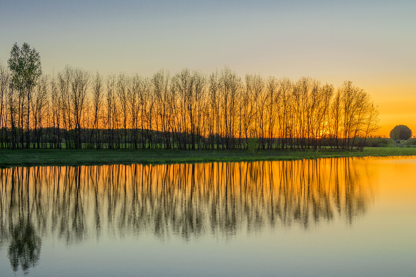 Правофланговый...