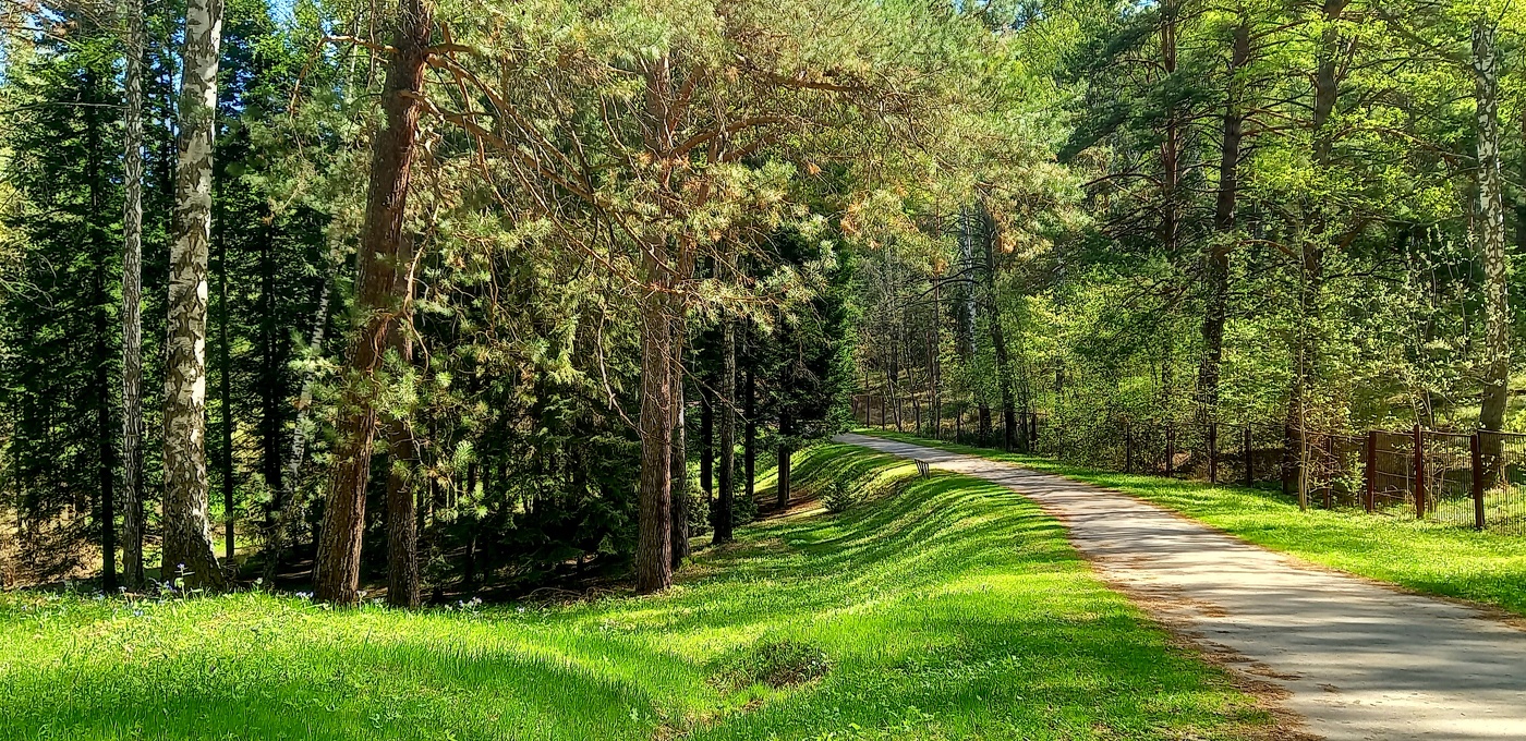 майский день