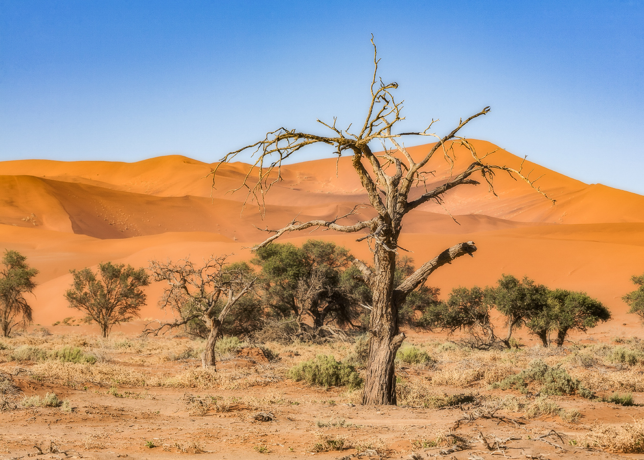 Учкудук - три колодца