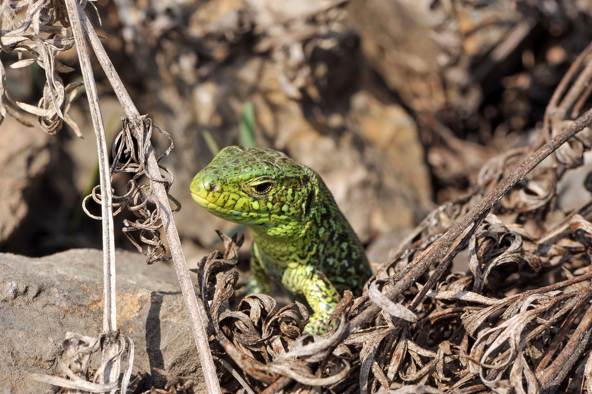 Вышла погреться.
