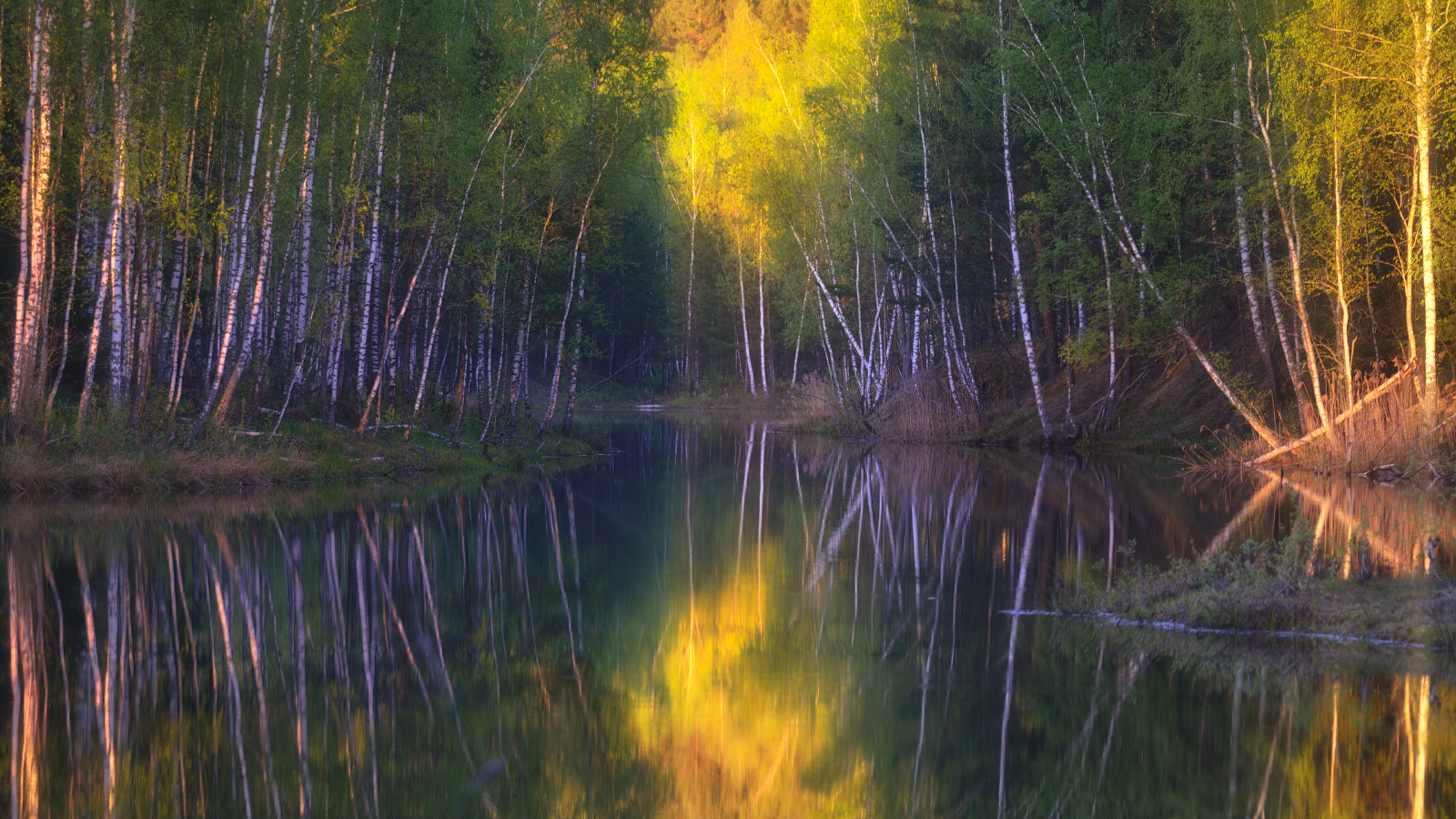 Бобриная карасятня