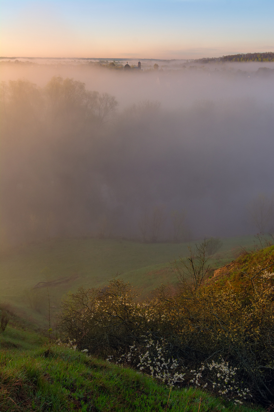 туманное утро на селе