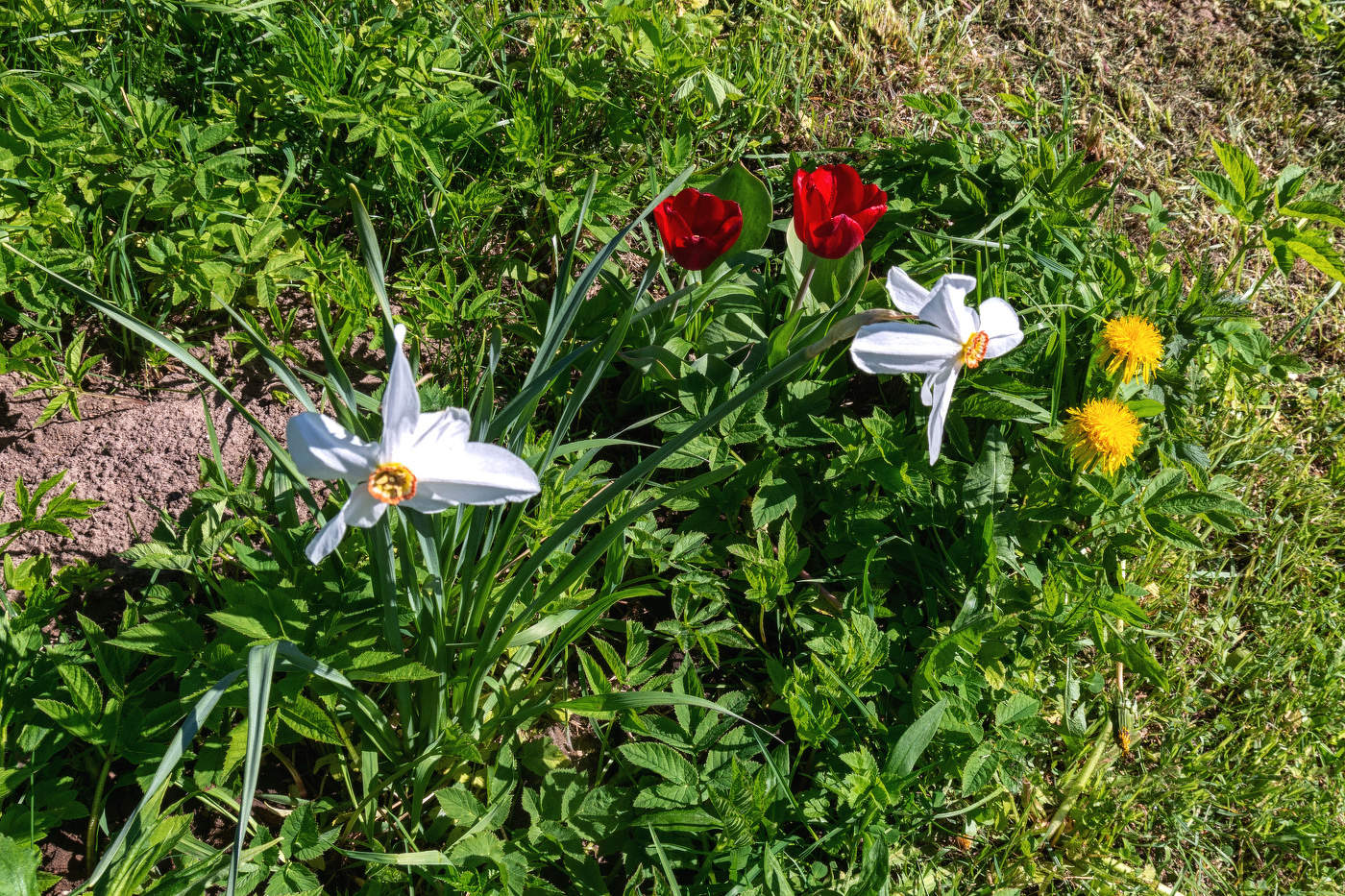 Жизнь вокруг