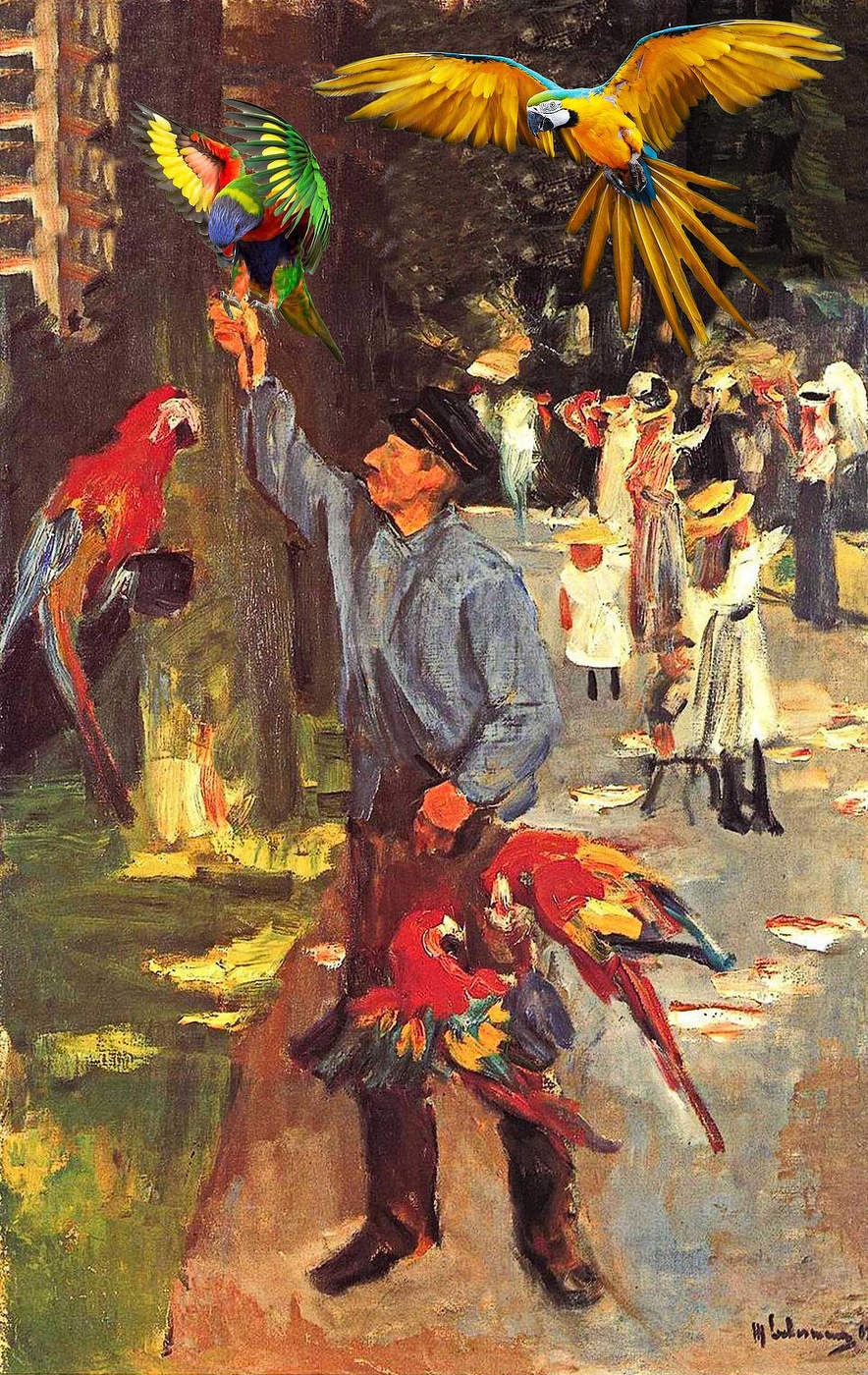 Человек и попугаи