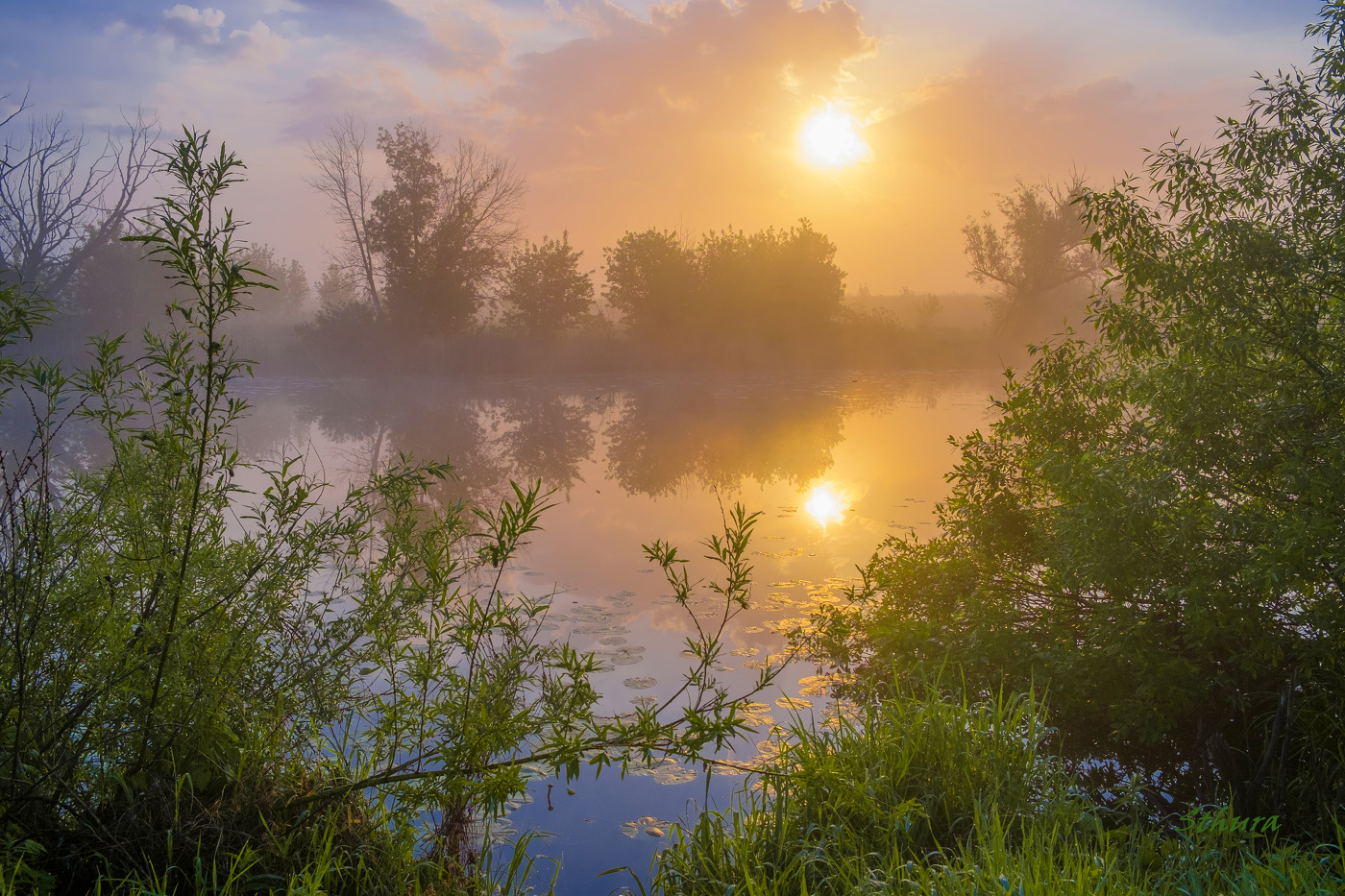 Утро на озере Студёное.