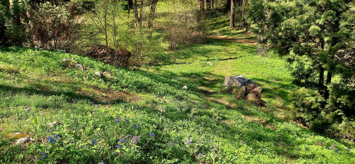 майский ковер