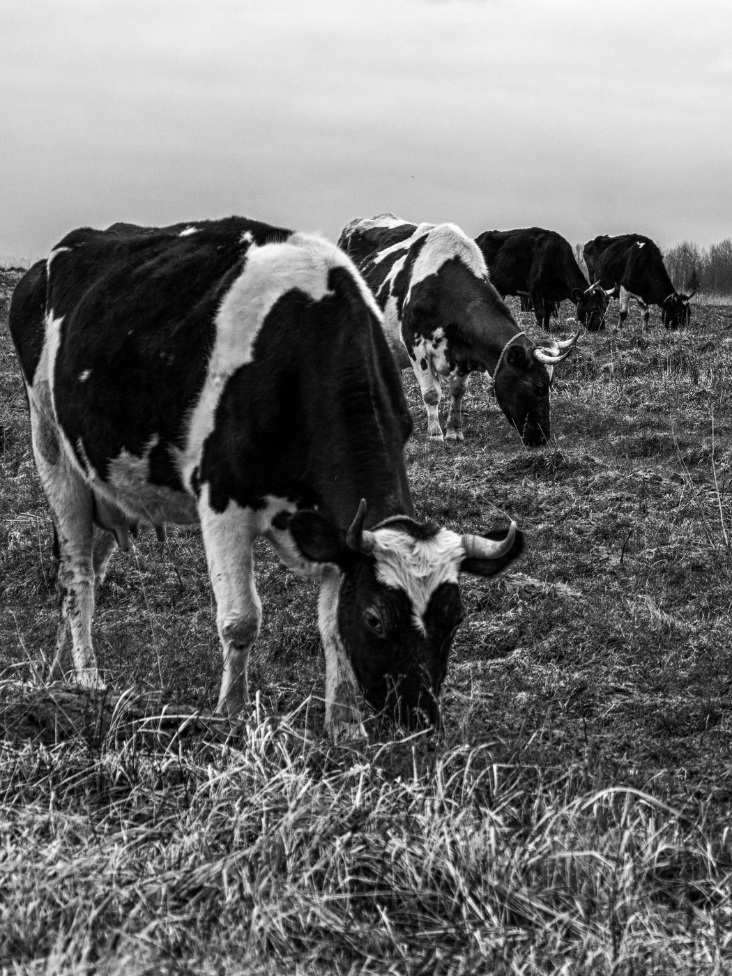 Жизнь вокруг