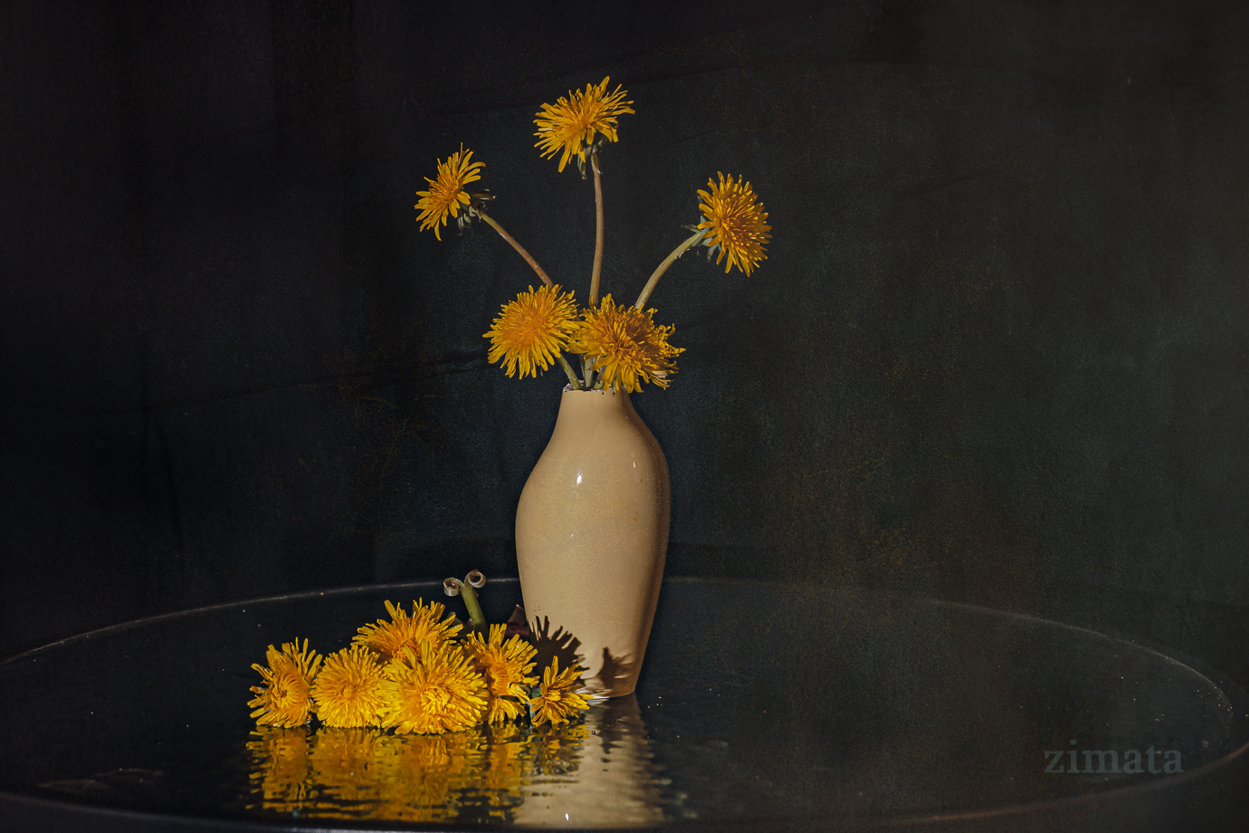 Одуванчики - 24