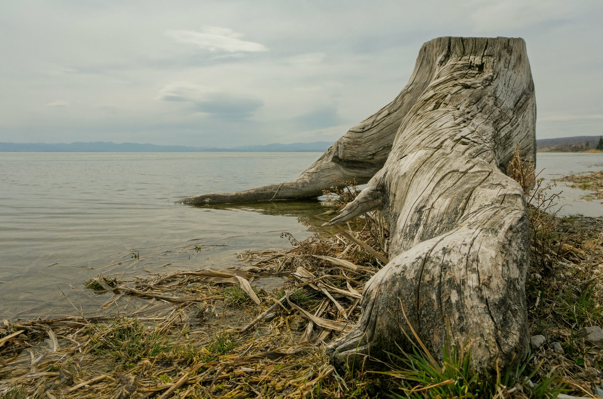 У берега озера.