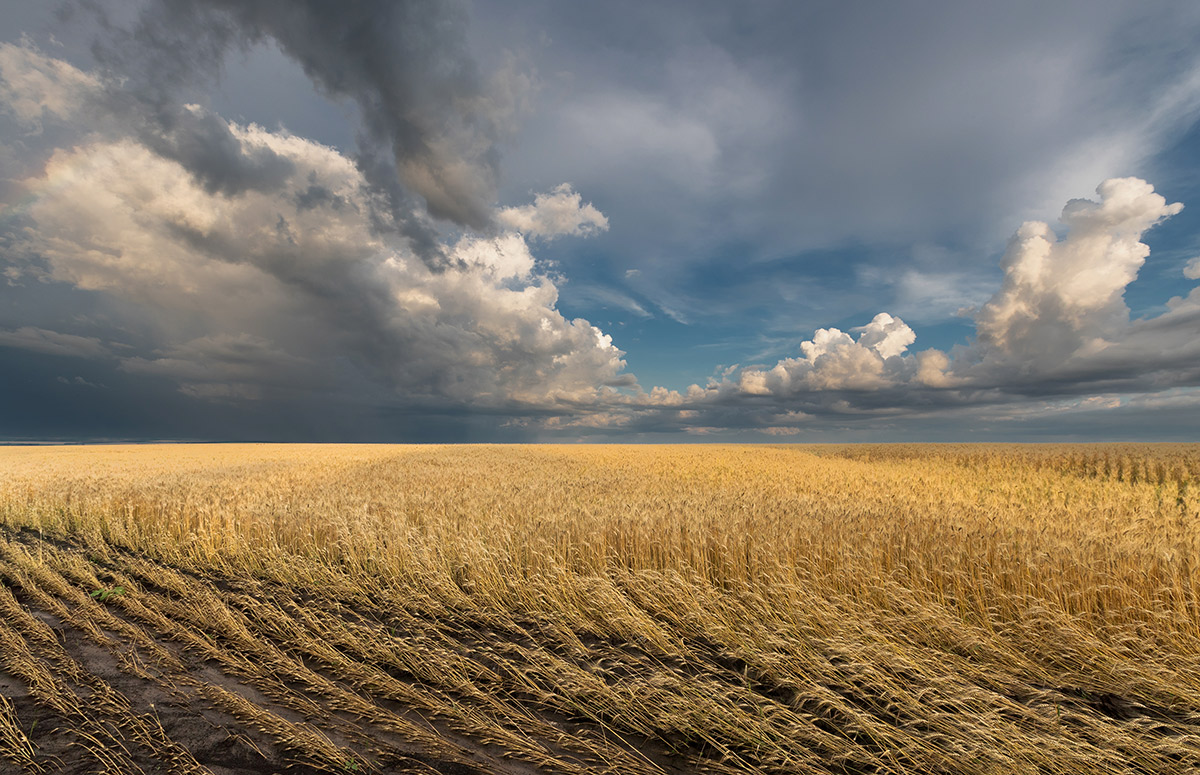 Ливень прошел