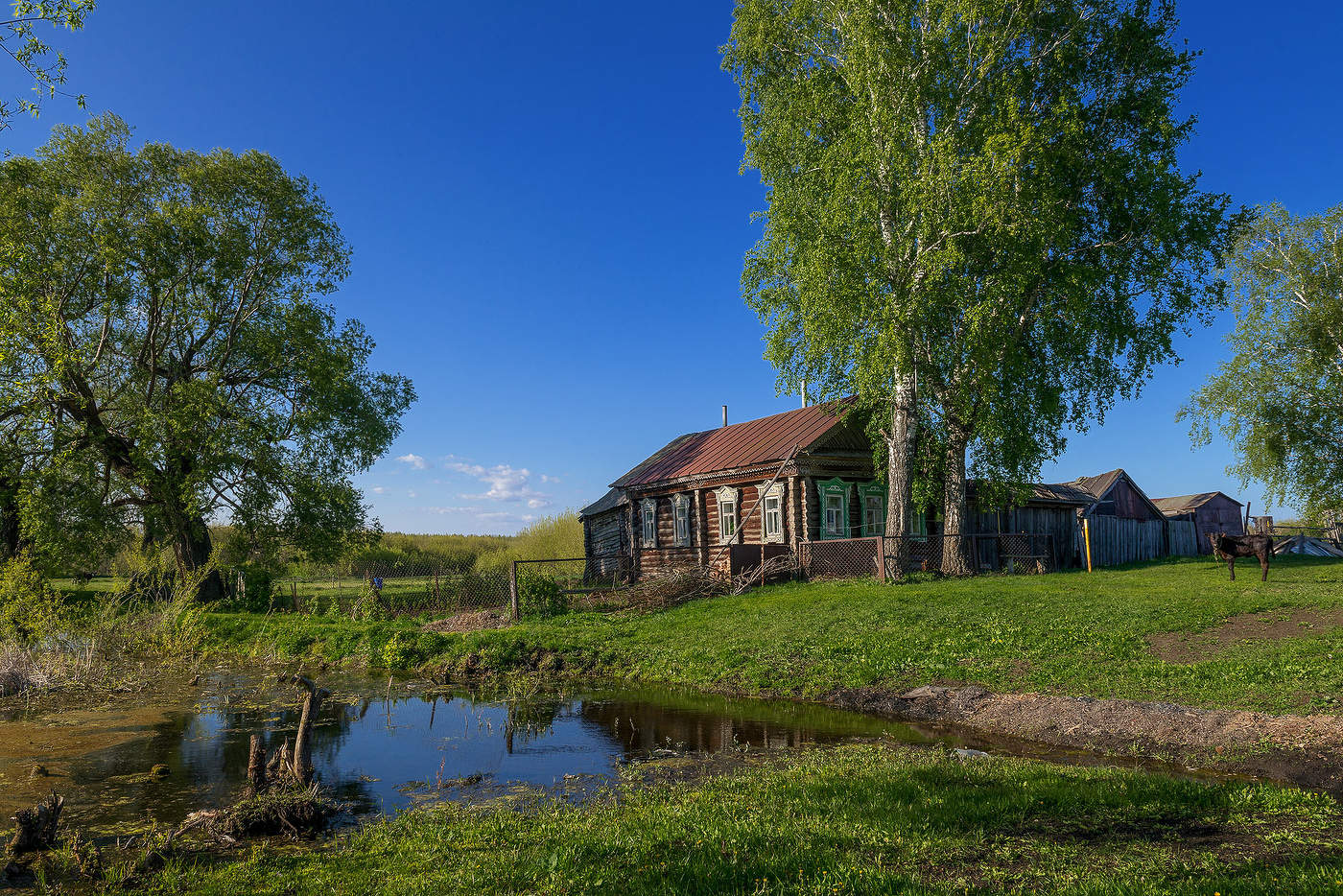 Сельская зарисовка...