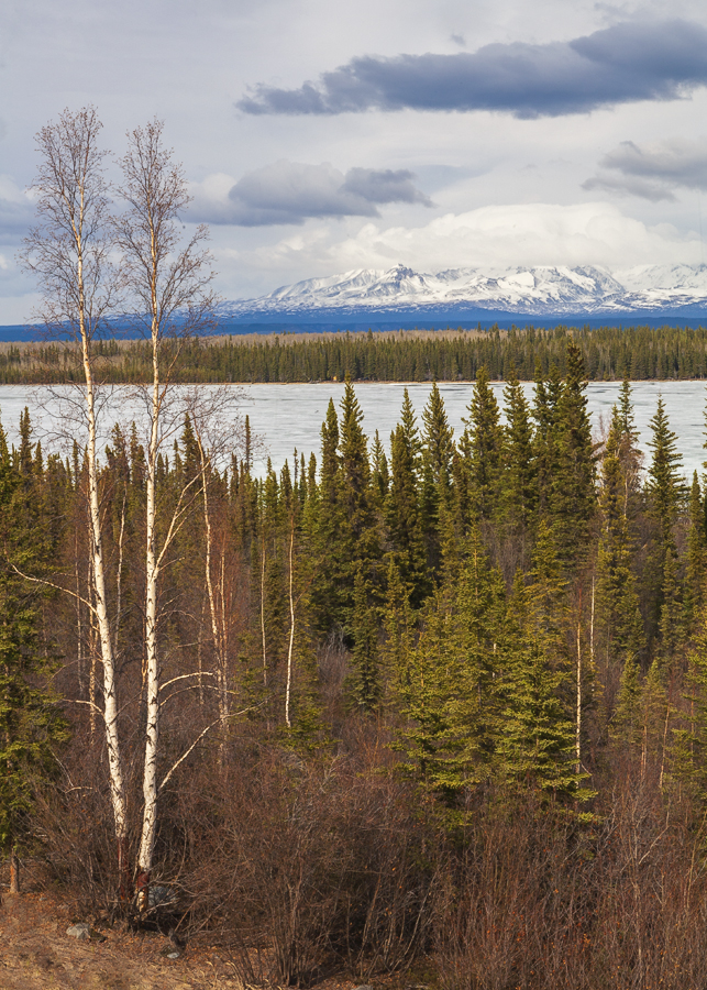 Весенний ноктюрн