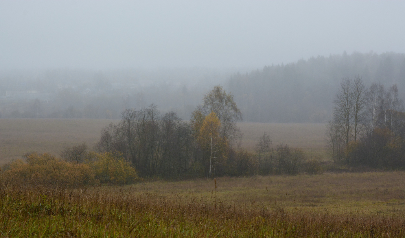 Туманный день ...
