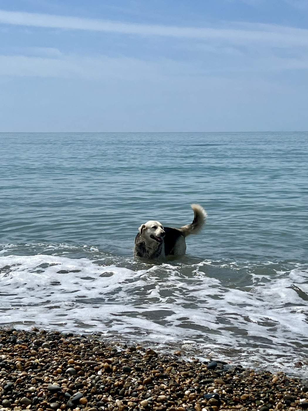 Искупаемся?!