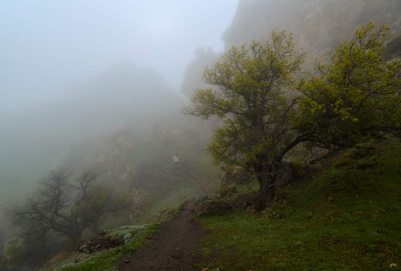 в заоблачном тумане