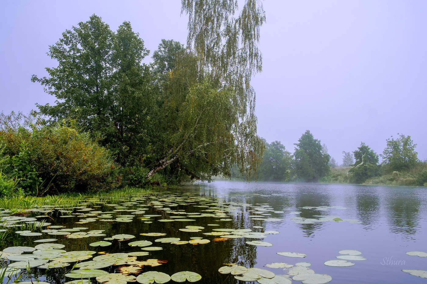 Перед осенью.