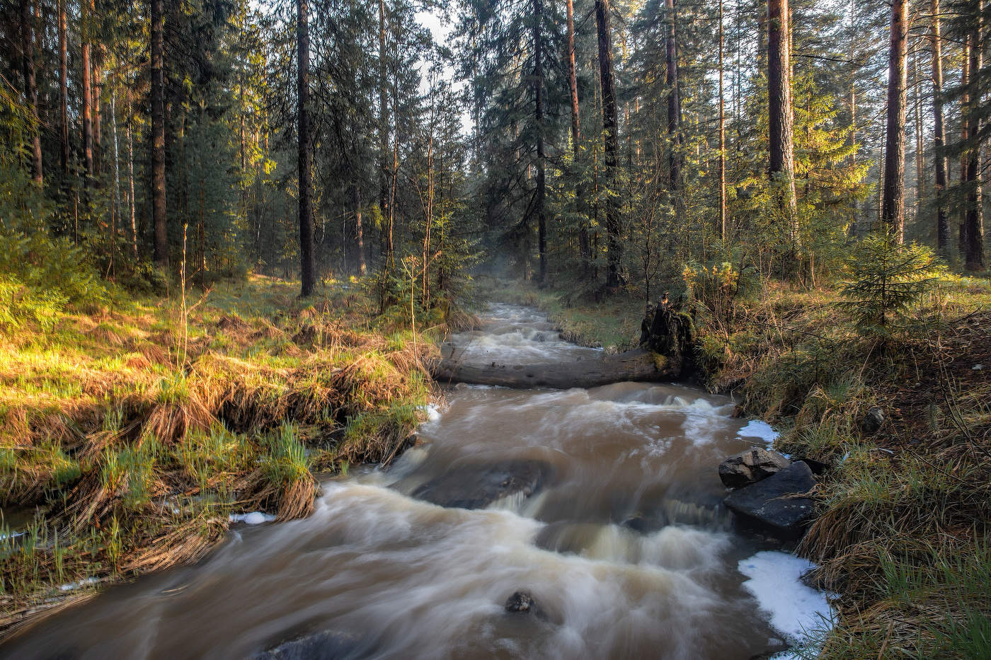 Весенний вечер