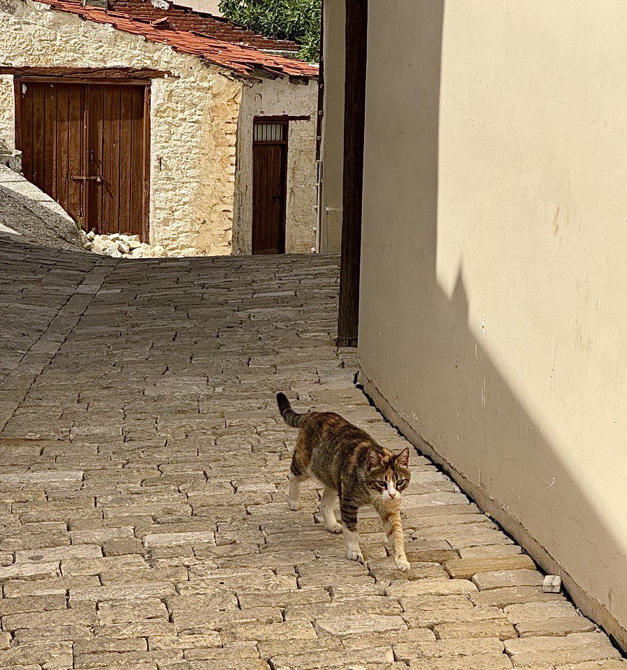 Простая картинка