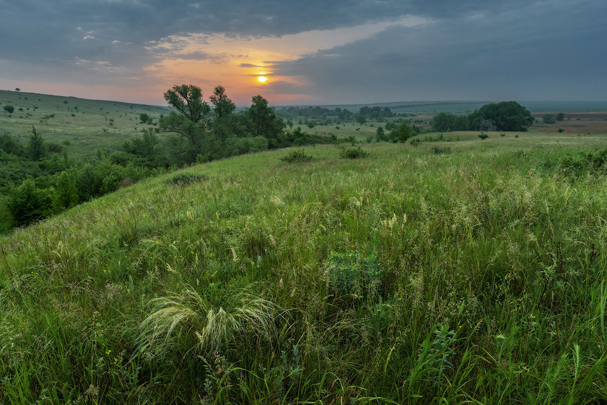 Время бродить по росе