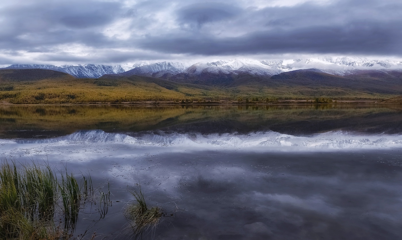 Холодный рассвет