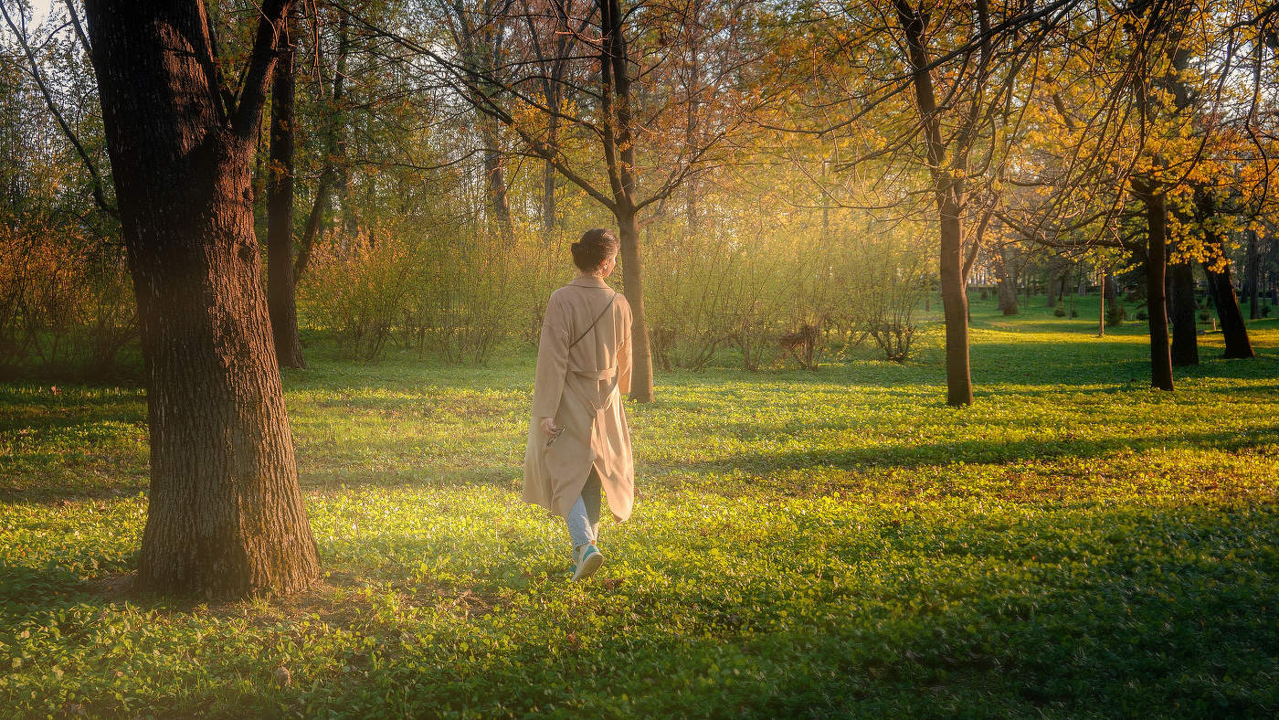 Майским вечером