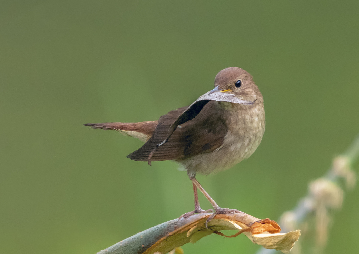 вам письмо!
