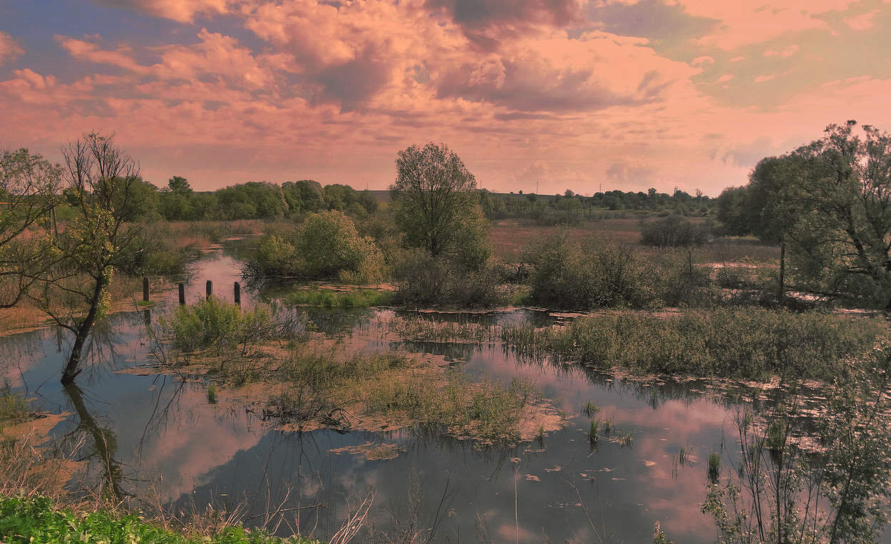 Последние майские деньки