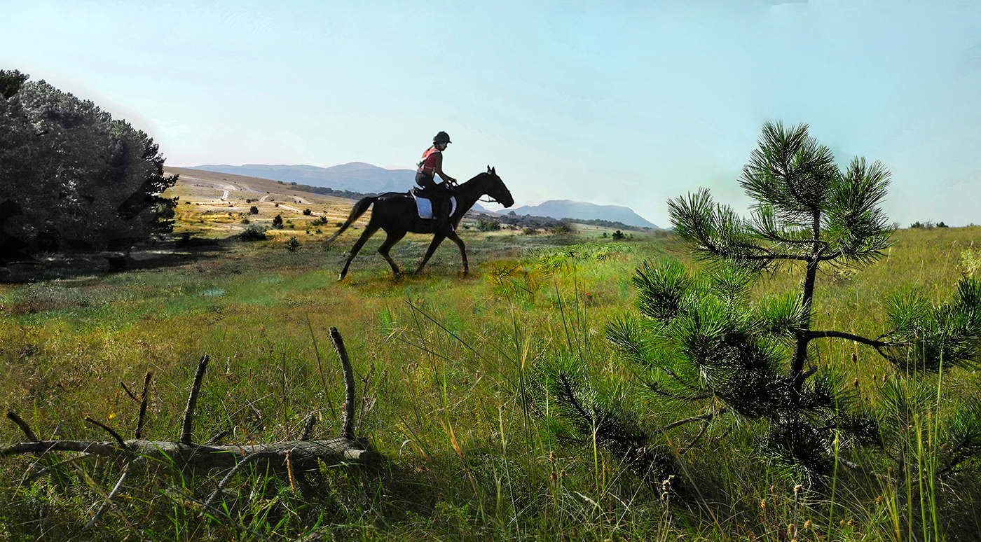 На природе в движении.